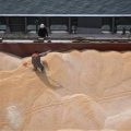 У вересні Україна збільшила відвантаження сільгосппродукції попри обмеження в портах